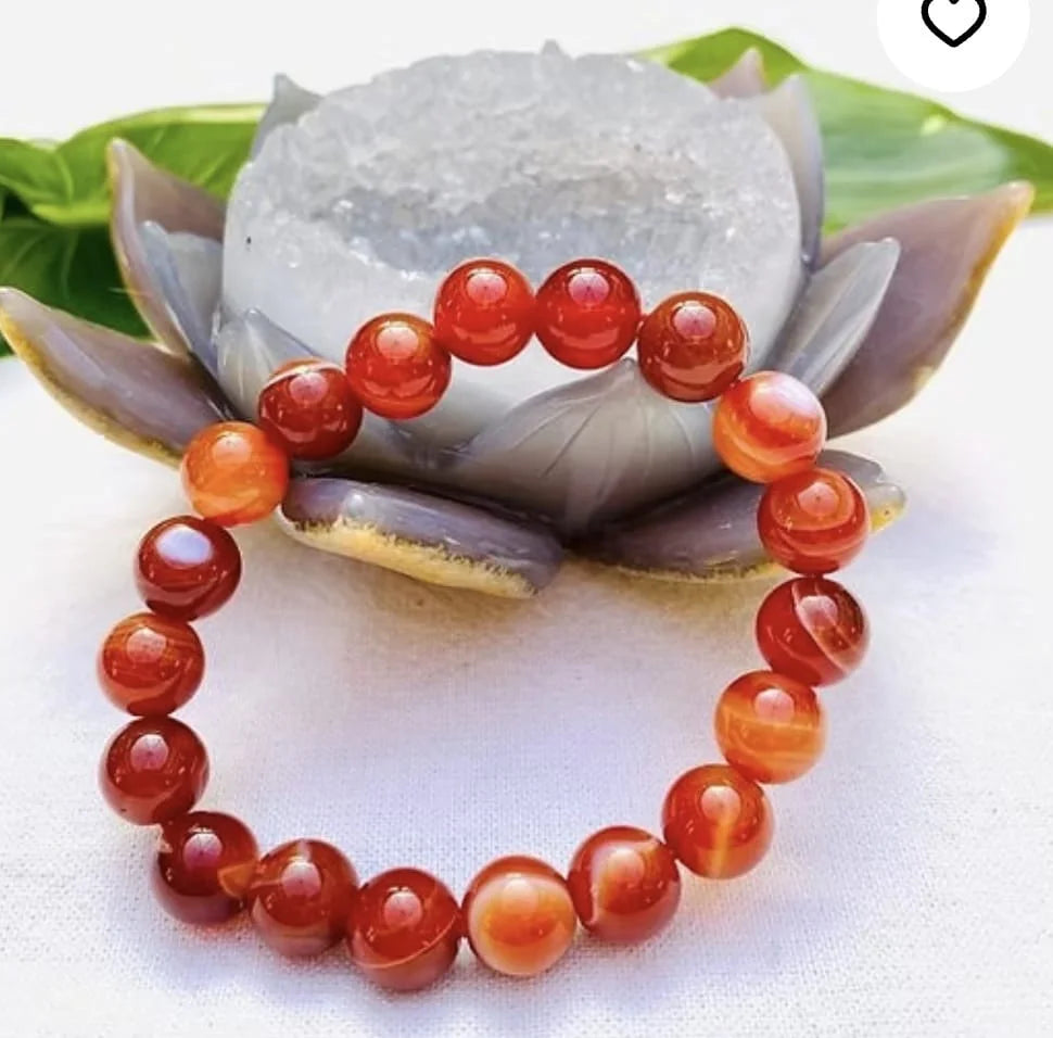 Carnelian Bracelate