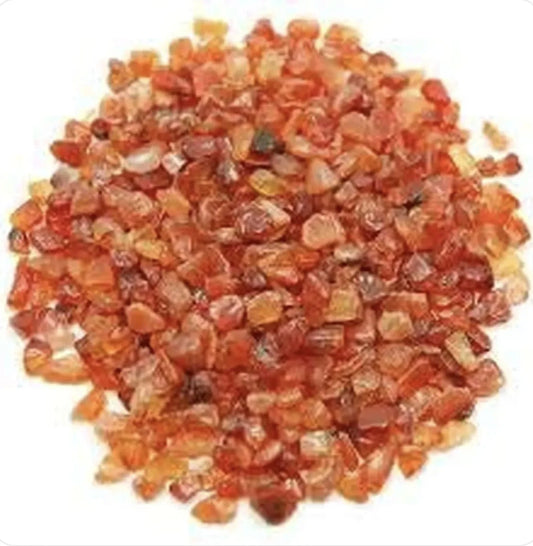 Carnelian Bracelate